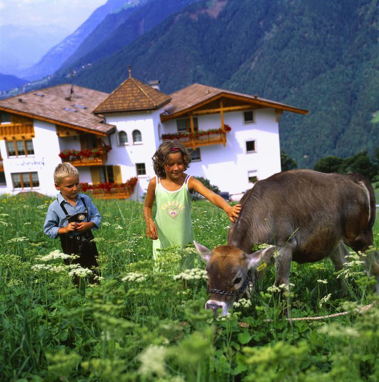 Naturhotel Gruberhof Schenna Buitenkant foto